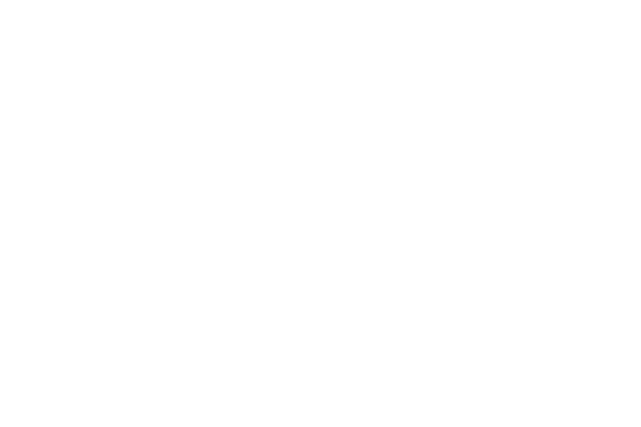 Trail Affair – Bike Schule Zug